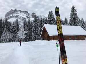 Chalet delle Dolomiti