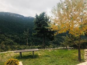 Chalet in the Forest Achaia Greece