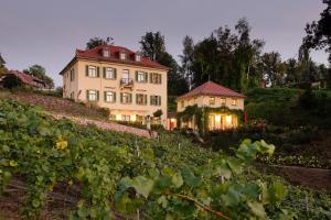 5 star apartment Rebenhaus Mei&szlig;en Mei&szlig;en Germany