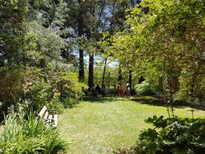Casa de Campo Flor Dorada