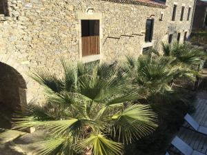 Appartements Gite Carcassonne : photos des chambres