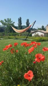 Maisons d'hotes Le petit Ventoux : photos des chambres