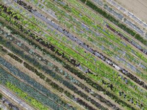 Ca Vascon Alloggio Agrituristico