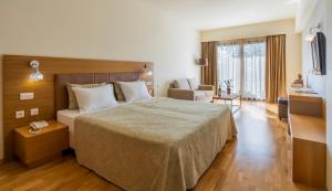 Domotel Anemolia Mountain Resort Parnassos Greece