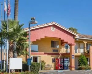 Econo Lodge Inn & Suites Lodi - Wine Country Area - Lockeford