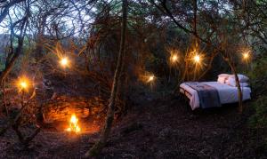 Glamping Safari Camp - Bellevue Forest Reserve