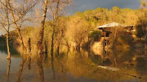 B&B / Chambres d'hotes Le Castellas du Pic St Loup : photos des chambres