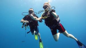 Equatorial Divers Lodge