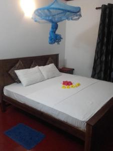 Kavee Guest
