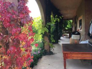 Safranière du M Goun