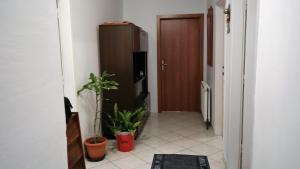 Apartmani Zorica