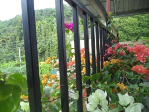 My Place Guest House