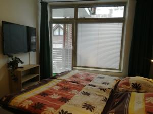 Rodinný Apartmán Harrachov 606