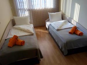 Angel Apartment