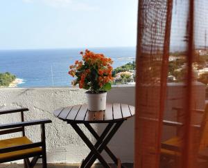 Pension Andromeda Alonissos Greece