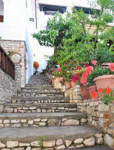 Pension Andromeda Alonissos Greece