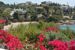 Villa Emilion Beachfront Argolida Greece