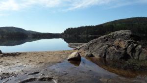 Bjørndalsvatnet