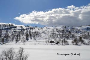 Bjørndalsvatnet