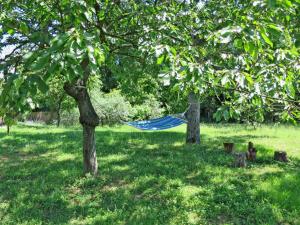 Pierotta Country House - Arezzo