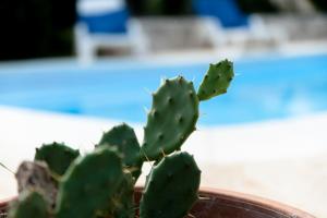 Trullo Dimora della Valle