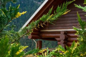Mythica Chalet Euritania Greece