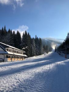 Апартамент APARTM&Aacute;NY BIELA P&Uacute;Ť - Chopok SKI - Jasn&aacute; Демановска Долина Словакия