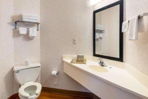 Queen Room - Disability Access - Non-Smoking room in Motel 6-Statesville NC
