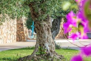 Corte Bianca - Adults Only & SPA - Bovis Hotels img86