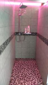 La jonquille jacuzzi et sauna