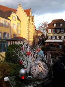 Appartements Au Chasseur : photos des chambres