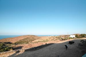 Grey House Sifnos Greece