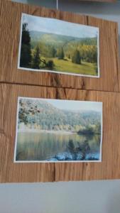 Chalets La jonquille jacuzzi et sauna : photos des chambres