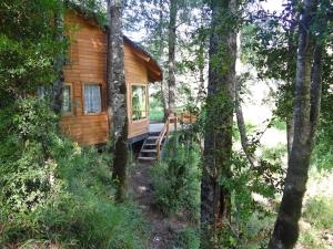 Patagonia Mawida