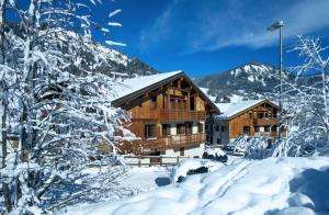 Résidence Néméa Les Chalets Des Evettes photo 6