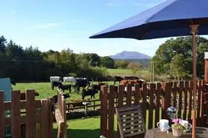 Siabod, Betws y Coed, Snowdonia 2 en-suite bedrooms - Yspytty-Ifan