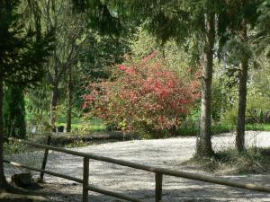 Campings Etangs du Moulin : photos des chambres