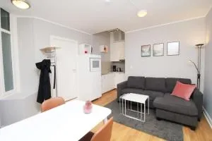 Nordic Host - City Center 2 Bed / 2 Bath - Skippergata - 3 minutes from station - 奥斯陆