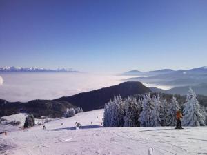 Appartamento Apartm&aacute;n Hrabovo 203 Fatrapak 2 Ružomberok Slovacchia