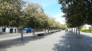 Temporary Alicante HM