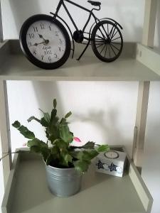 CENTER 23 - Old Town