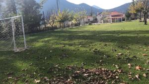 Chalet in the Forest Achaia Greece