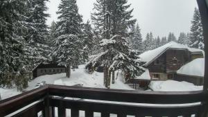 Apartments Zed Vila Zvoncica