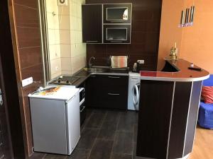 Bakuriani Hills Apartment