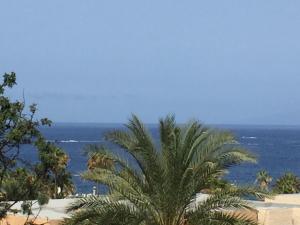 Apartamentos Olympia