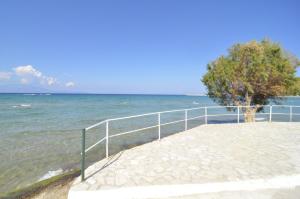 Oasis Studios & Apartments Zakynthos Greece