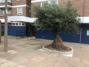 Chelsea off Kings Road One Bedroom Apartment with balcony