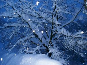 Holiday Home Coprnička Hiša