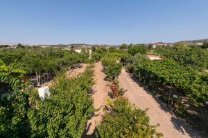 Eleftherias Garden House Rhodes Greece