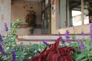 3 star hotel Hotel Junior Poděbrady Poděbrady Czech Republic